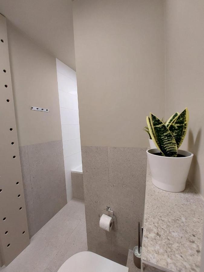 Spacious Two-Bedroom Apartment In The City Center Krakow Ngoại thất bức ảnh